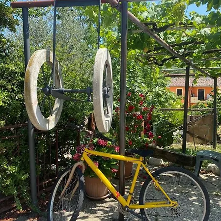 Agriturismo Colle Dei Venti 农家乐